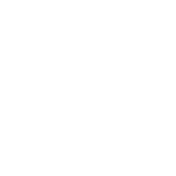 bulb-icon