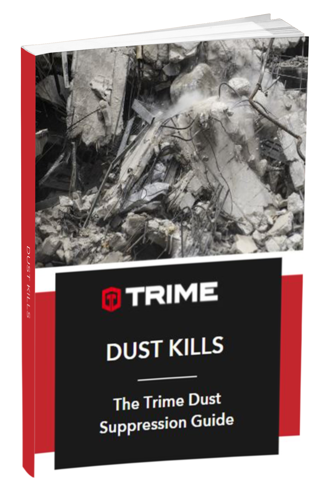 dust kills png mock up-2